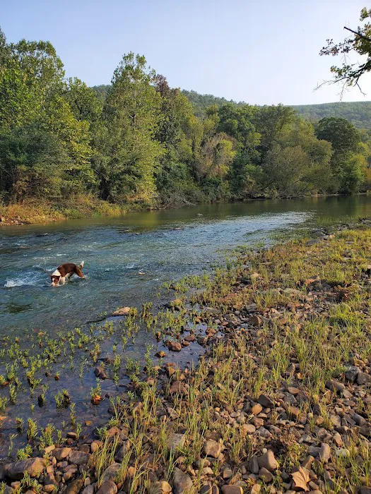 Little River Cabins Picture 4