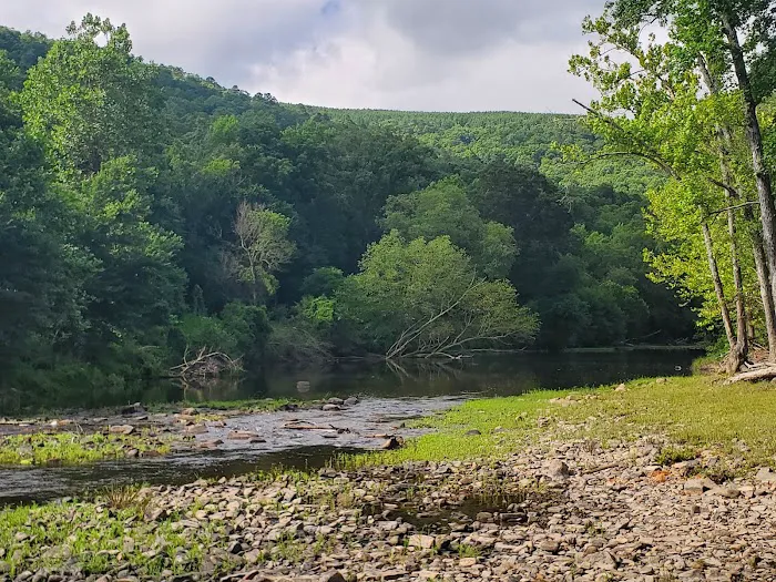 Little River Cabins Picture 5