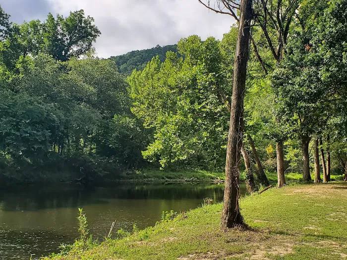 Little River Cabins Picture 6