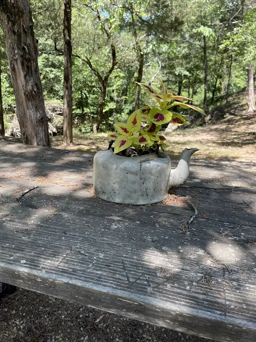 The Haven - Kiamichi Mountain Riverside Cabin Picture 2