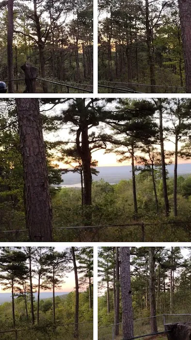 Black Rock Roost Mountain Cabin Picture 9