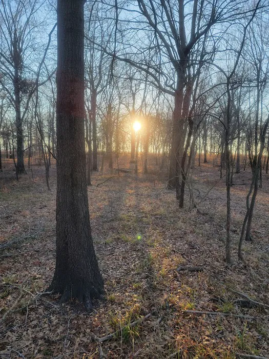 Wister Lake Primitive Camping Spot Picture 10