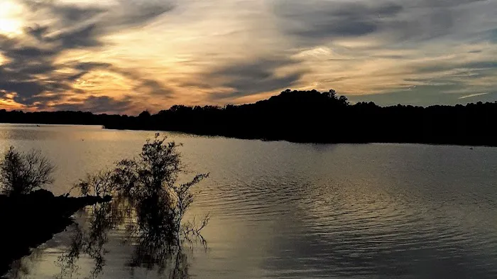 Wister Lake Primitive Camping Spot Picture 3