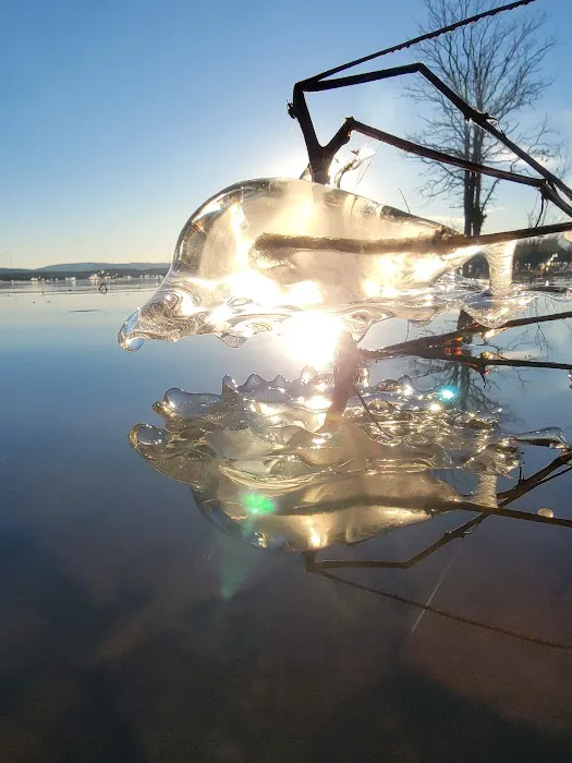 Wister Lake Primitive Camping Spot Picture 8