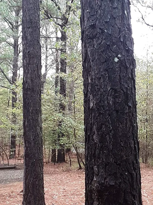 Texas Two Step Picture 4