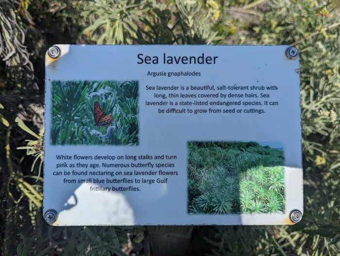 Bahia Honda State Park RV Campground Picture 7