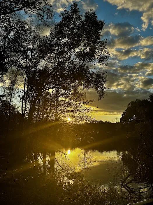 Davis Roadside Park Picture 10