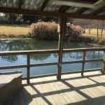 Cajun Pondside Cabin