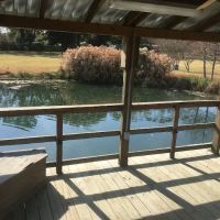 Cajun Pondside Cabin ico