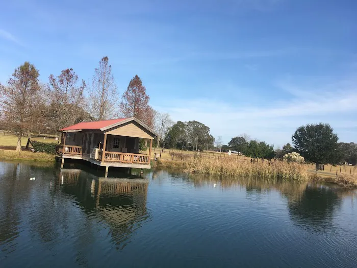 Cajun Pondside Cabin Picture 5