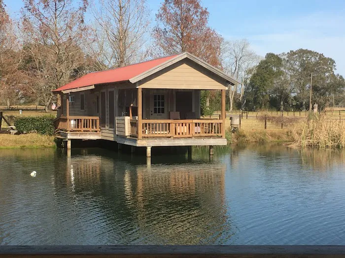 Cajun Pondside Cabin Picture 8