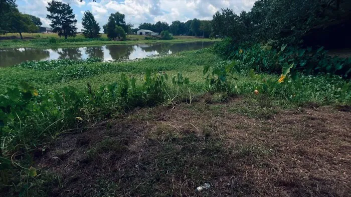 Camping on the Bayou Picture 5