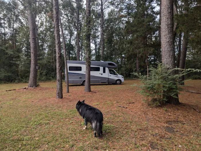 Camping on the Bayou Picture 4