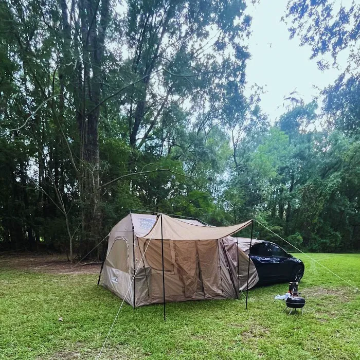 Camping on the Bayou Picture 2