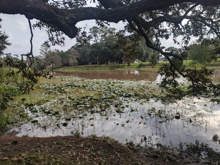 Camping on the Bayou Picture 1