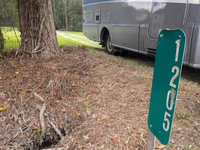 Camping on the Bayou Picture 3