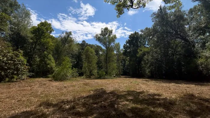 Camping on the Bayou Picture 6