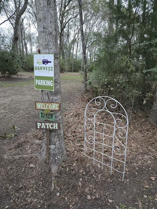 Camping on the Bayou Picture 8