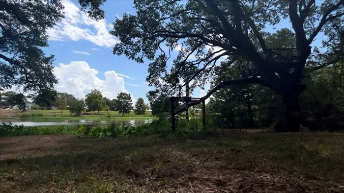 Camping on the Bayou Picture 7