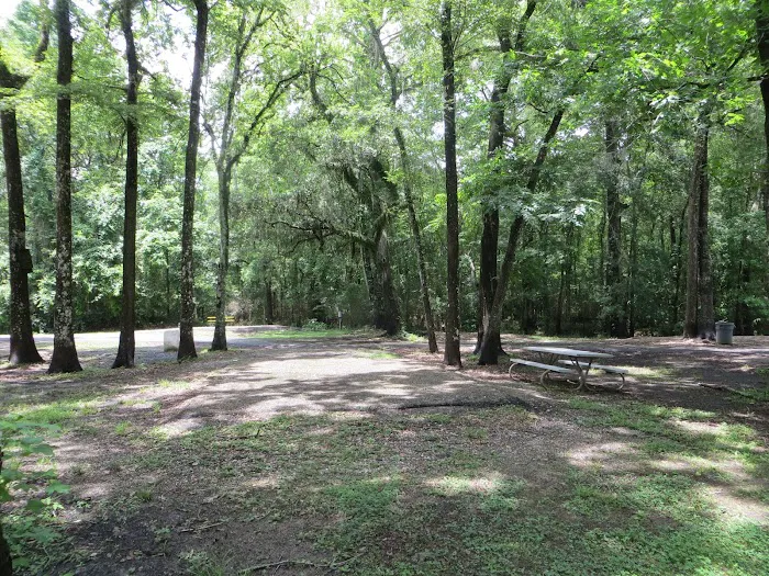 Acadiana Park Campground Picture 1