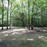 Acadiana Park Campground
