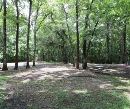 Acadiana Park Campground
