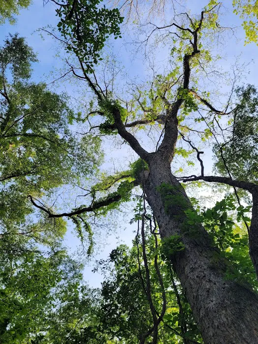 Acadiana Park Campground Picture 7