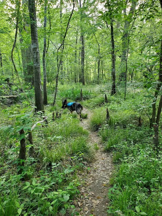Acadiana Park Campground Picture 5