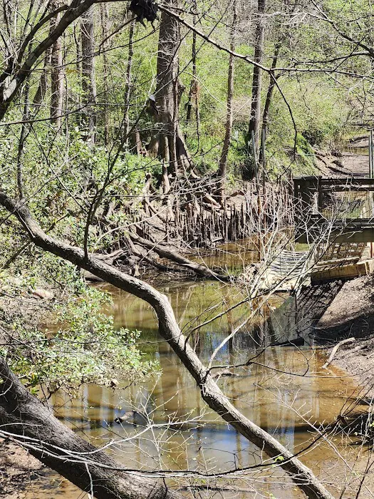 Acadiana Park Campground Picture 8