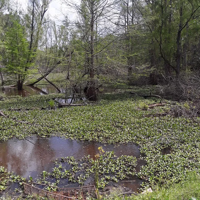 Sutton Lake Campground Picture 3