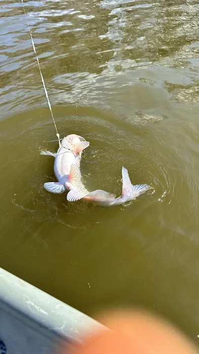 Larto Lake Campground Picture 1