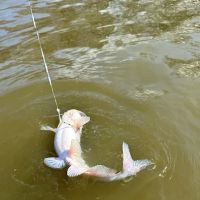 Larto Lake Campground ico