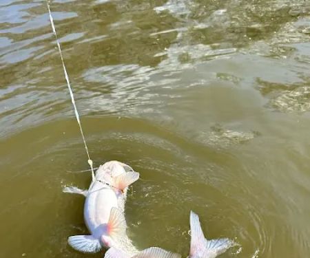 Larto Lake Campground