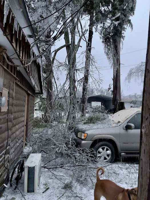 Sportsman's Lodge Picture 8