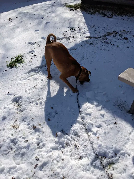 Sportsman's Lodge Picture 10