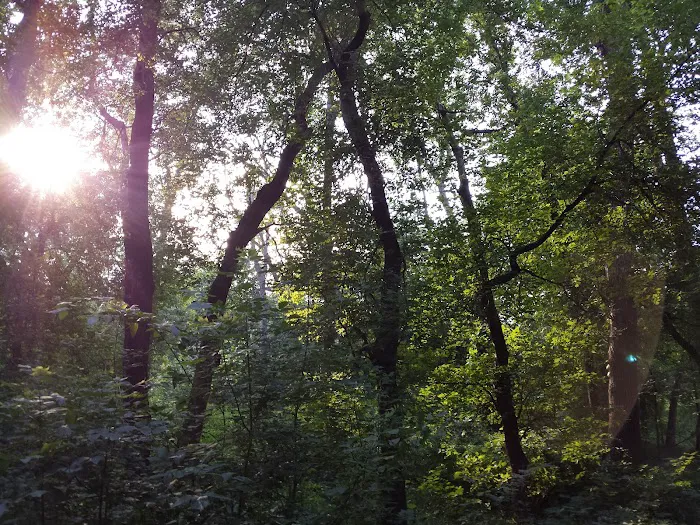 Lindenwood Campground Picture 7