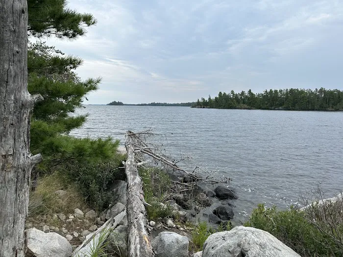 Loon Cove Campsite Picture 2