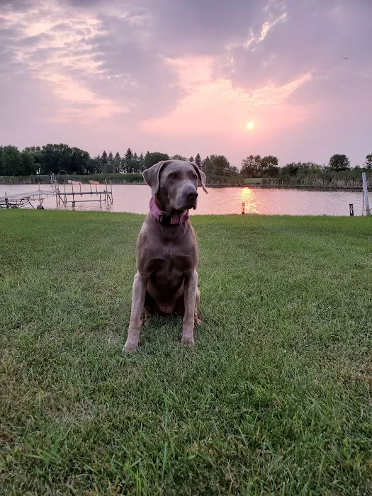 Silver Lake Recreation Area Picture 5