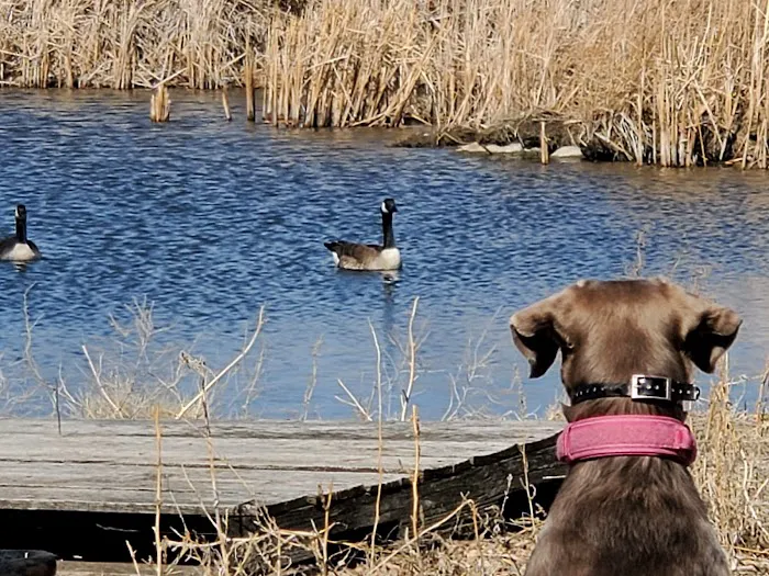 Silver Lake Recreation Area Picture 6