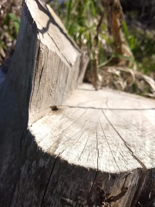 Recharge Lake Picture 2