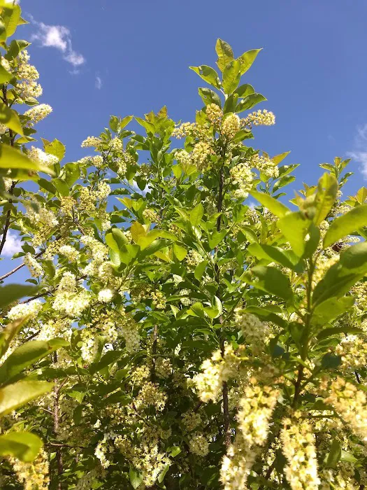 Recharge Lake Picture 1