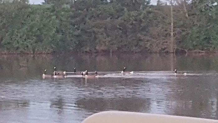 Recharge Lake Picture 8