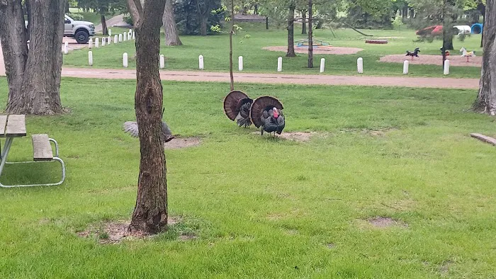 George H Clayton Campground Picture 3