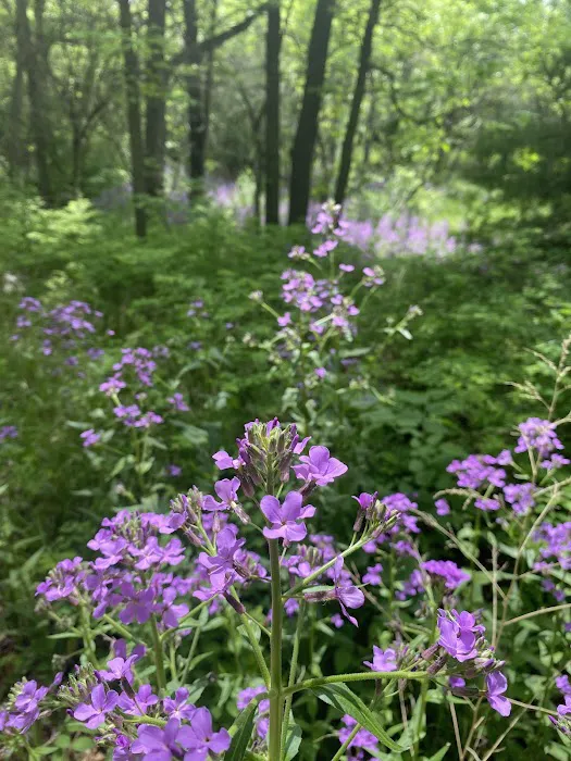 George H Clayton Campground Picture 1