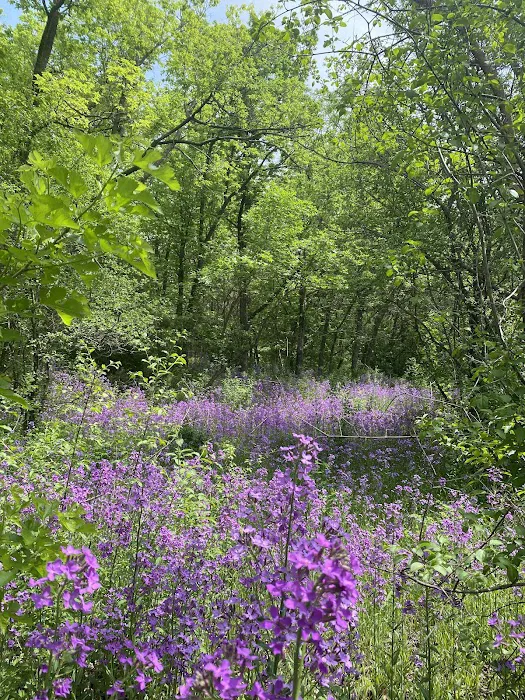 George H Clayton Campground Picture 2