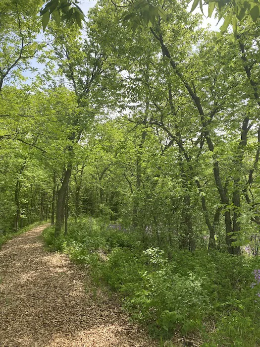 George H Clayton Campground Picture 7