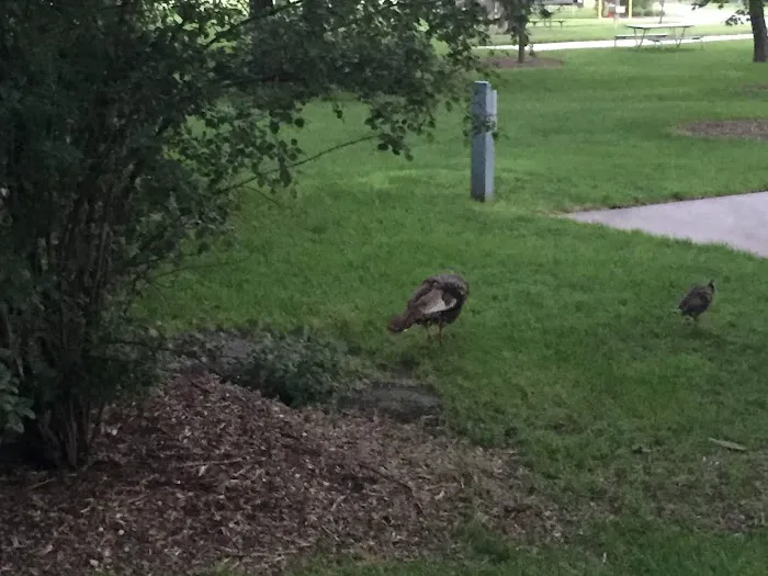 George H Clayton Campground Picture 8