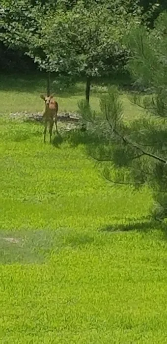 Hall County Park Picture 4