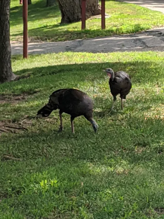 Hall County Park Picture 6