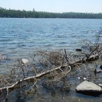 BWCA Campsite #892 ico